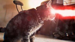 X-Men Origins: Cyclops Cat