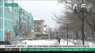 Аграрный сектор – один из ключевых драйверов экономического роста