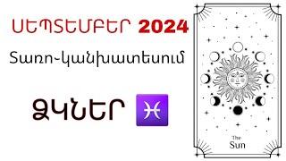 ՁԿՆԵՐ  ՍԵՊՏԵՄԲԵՐ 2024  ԿԱՆԽԱՏԵՍՈՒՄ