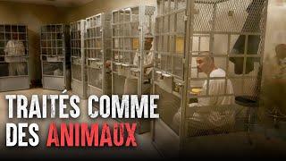 Survivre à la prison la plus stricte d'Amérique : San Quentin