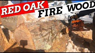 WE SCORED Some PREMIUM RED OAK Firewood!