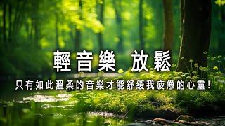 輕音樂 放鬆  只有如此溫柔的音樂才能舒緩我疲憊的心靈！ 放鬆音樂, 治療音樂,鋼琴曲 輕音樂