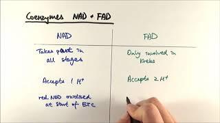 A2 Biology - NAD vs. FAD (OCR A Chapter 18.3)