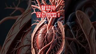 혈압약, 정말 평생 먹어야 할까요? 의사가 말해주는 진짜 이야기! #시니어건강 #건강상식 #혈압약 #고혈압 #건강정보 #혈압관리 #약없이사는법 #건강채널