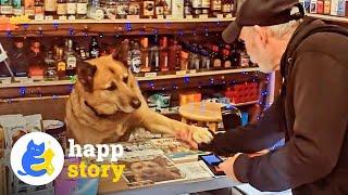 This Dog Has Been An Employee Of This Corner Store For 7 Years | HAPP