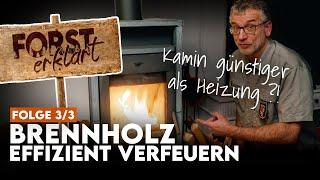 So kannst Du mit Deinem Kamin bares Geld sparen | Forst erklärt Brennholz-DIY Part 3/3