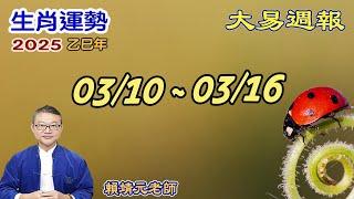 2025年 每週生肖運勢【 大易週報】 陽曆 03/10~ 03/16｜己卯月｜大易命理頻道｜賴靖元 老師｜片尾運勢排行榜｜CC 字幕