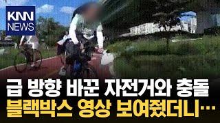 화장실 간다고 핸들 '휙', 자전거 도로 위 역주행 운전자/ KNN