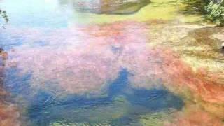 Cano Cristales - River of Paradise