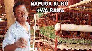 UFUGAJI WA KUKU KWA KUTUMIA VICHANJA (LOCAL CAGES )