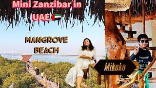 Mikoko | Mini Zanzibar in UAE  | Mangrove beach Umm Al Quwain