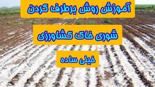 آموزش روش برطرف کردن شوری خاک باغ‌ها و کشاورزی ، حتماً ببینید