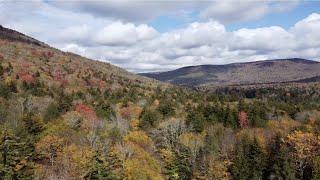 North-South Trail (TR 688) in Cranberry Wilderness