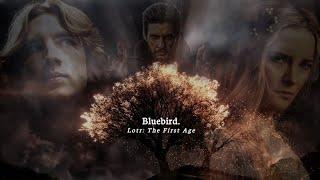 Lotr: The First Age - Bluebird