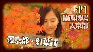 【貝遊日本】愛京都・紅葉鋪＊EP1（關西機場去京都，京都AIRBNB初體驗）