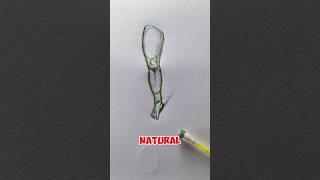 Easy Peasy Way to Draw Legs (Perfect for Beginners!) ️ #drawing #foryou #art #satisfying #sketch