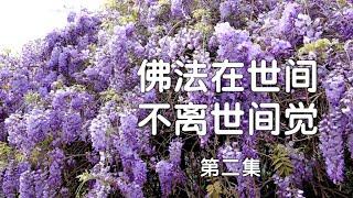 佛法在世间  不离世间觉   第二集   ~全 芳  著     [唯佛宗世界人乘佛教]