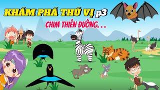 Khám phá thú vị về Chim Thiên Đường Superbvà Những câu chuyện thú vị p3 #kienthucthuvi #hoathinh