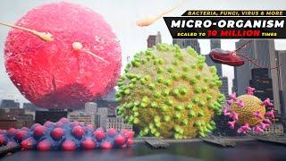 Microbe size at 10 Million times Scale  | if Micro live become 10 million times bigger