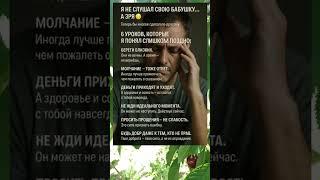 Я НЕ СЛУШАЛ СВОЮ БАБУШКУ… А ЗРЯ 