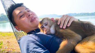 Collection of videos about Monkey Kaka that dad dare not reveal