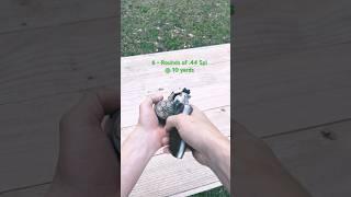 .44 Mag Vs. .44 Special