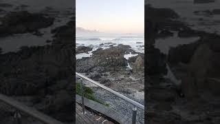 The Lighthouse Coffee Company at 7.22am. Cape Town, South Africa. Full moon morning. Jerry speaking.