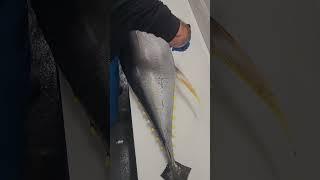 best tuna fish cutting skills  #tunafishcutting  #fishcutting_videos #fishcuttingskill #xfish