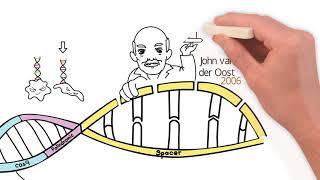 CRISPR: History of Discovery