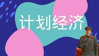 推行计划经济可行吗？大跃进、大饥荒，苏联的计划经济为什么失败了？