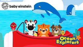 Ocean Exploring with Mama and Baby Whales! | World Ocean Day  | Baby Einstein | Learning Show