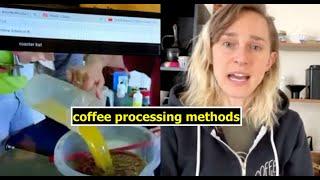 coffee processing methods | Wash vs. Natual vs. Co-Fermentation