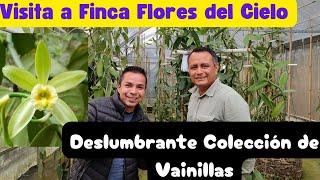 Visita a Finca Flores del Cielo, Deslumbrante Colección de Orquídeas Vainilla.