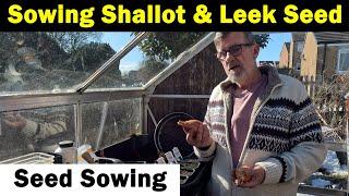 Shallots and Leeks | Onions | Seed Sowing | Green Side Up