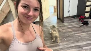 Update on Life & the New House! I GOT A NEW PUPPY!!