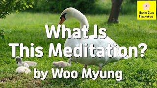 Master Woo Myung - Meditation Benefit - What Is This Meditation? | Santa Clara Meditation