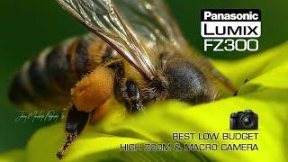 Panasonic Lumix FZ300 - Best Low Cost Wildlife Camera