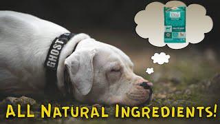 A Dog Food Brand WITHOUT Synthetics! - Natures Logic Dog Food Review