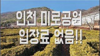 인천 강화 아르미애월드 온새미로공원 강화도 여행 숨은 명소