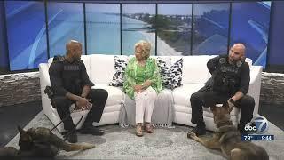 WWSB ABC 7: Sarasota PD's newest K9s stop by the studio | Suncoast View