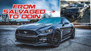 Staff Cars || JD's 2016 Mustang GT - Odin Supercharged and Salvage Titled