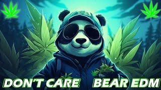 BEAR EDM  Mashups & Remixes Of Popular Songs  DJ Remix Club Music Dance Mix 2024  Don't Care