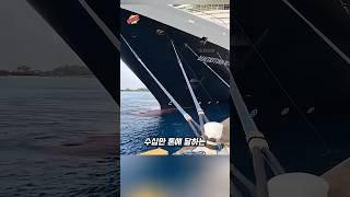 대형 선박이 얇은 밧줄로 묶여 있는 이유