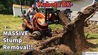 Kubota BX- Removing Large Bushes + Tearing Out A GIGANTIC Stump!! (JD 1023E Helps!)