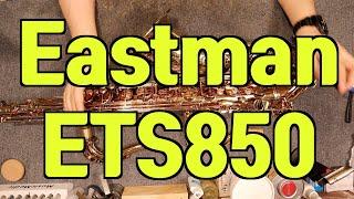 색소폰리뷰 이스트만 테너 ETS850 리뷰 Eastman ETS850