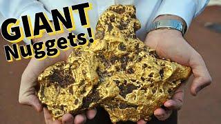 Australian Finds LARGE GOLD NUGGETS with a Metal Detector.