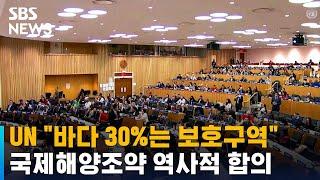 UN "바다 30%는 보호구역"…국제해양조약 역사적 합의 / SBS