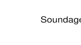 How to pronounce Soundage