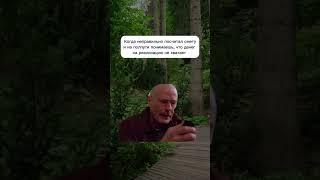 Кошмар любого ландшафтника #ландшафт #вид #юмор #обучение