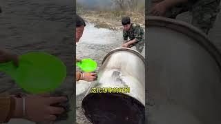 鑫鑫在家乡